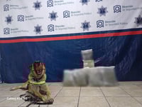 Unidad K9 asegura droga oculta en paquetes de mensajería en la zona centro de Torreón
