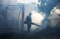 ¡El dengue es cosa seria! Por lluvias, intensifican prevención en Coahuila