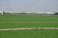 Abril con cifras históricas: sector primario registra avance de 3.2 por ciento