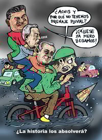 Cartón de Guayo