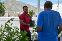 Campaña de reforestación llegará a Villa Nazareno