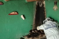 Incendian enjambre de abejas en vivienda de Viesca