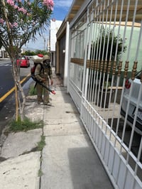 Refuerzan fumigación en colonias de Torreón por riesgo de mosquitos