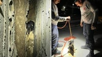Rescatan a perrito que estaba atorado entre dos bardas en Lerdo