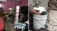 ¿Cómo la participación comunitaria puede contribuir a combatir al dengue?