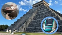 Una familia de cuatro tendría que ahorrar un año sin gastar para paquete turístico del Tren Maya