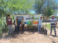Fortalecen programa de reforestación en San Pedro