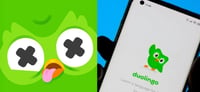 ¿Adiós a Duo? Buscan nueva mascota para Duolingo