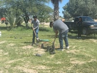Reforestan espacio público en ejido Albia de San Pedro