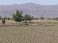 Por vacaciones aplazan arranque del Programa de Empleo Temporal, dicen productores de San Pedro