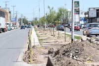 Insisten en que ciudadanía use bulevar Constitución por obras en Abastos-Independencia