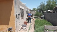 Registran cuatro decesos por picadura de garrapata en La Laguna