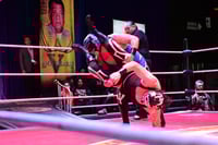 Habrá lucha de élite en la Arena Coliseo Tony Arellano