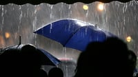 ¿Qué es la tormenta negra; podría llegar a México?