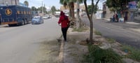 Refuerzan limpieza y mantenimiento en fraccionamiento