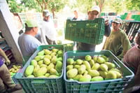 Crece PIB 0.65 %; se aleja recesión