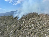 Activos, nueve incendios forestales en Coahuila