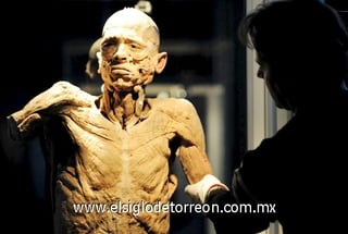 Vista de una de las figuras de la exposición 'Bodies, arte más fascinación'.
La exhibición será inaugurada el próximo 21 de noviembre en el centro de exposiciones Plaza Mayor de Medellín (Colombia). 

La muestra, que ha sido presentada en más de 200 ciudades del mundo, presenta cuerpos y órganos humanos conservados mediante la técnica científica de la plastinación/polimerización