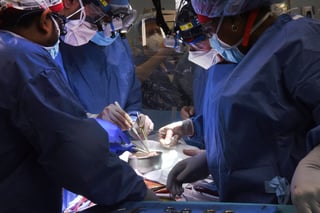 La Facultad de Medicina de la Universidad de Maryland (EUA) informó este lunes que logró trasplantar un corazón de cerdo modificado genéticamente a un hombre de 57 años en una cirugía que calificó de 'histórica'.