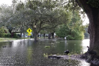 Azote de huracán 'Ida' deja daños incalculables en Florida