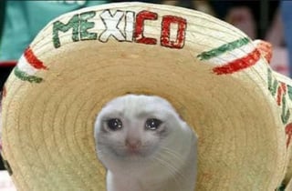 Tunden a México con memes tras ser eliminado de Qatar 2022
