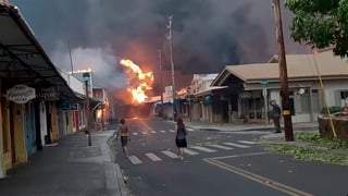 Mueren seis personas por incendios forestales en Hawái