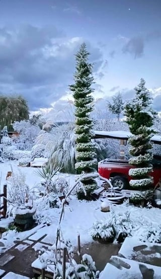 Durango, con nevadas.