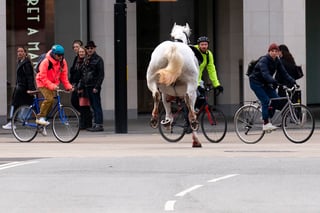 A white horse on the loose bolts through the streets of London near Aldwych, Wednesday April 24, 2024. (Jordan Pettitt/PA via AP)