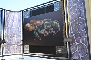'Insectus', las imágenes del británico Levon Biss que se exponen en Museo Acertijo