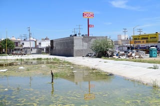 Vecinos denuncian construcción de tienda en zona destinada a áreas verdes