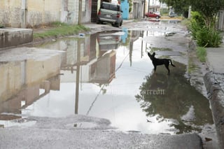 Así lucen por las lluvias los bulevares y calles de Gómez Palacio y Lerdo