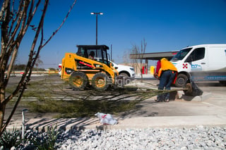 Faltan cuatro días para la apertura de la primera tienda de Costco en Torreón, por lo que la expectativa crece entre los compradores laguneros.