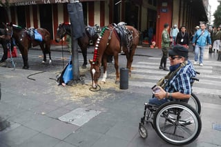 Cerca de tres mil elementos del Ejército, Fuerza Aérea, Guardia Nacional y de la Marina desfilan este miércoles en el Centro Histórico de la capital del país con motivo del 114 aniversario de la Revolución Mexicana.

Se trata del primer acto cívico militar que encabeza la presidenta Claudia Sheinbaum Pardo, en compañía de su gabinete legal y ampliado.