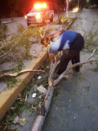 Entre la noche del lunes y la madrugada de este martes, un terregal azotó Torreón causando el desplome de árboles y cortes al servicio eléctrico en el sistema de semáforos.