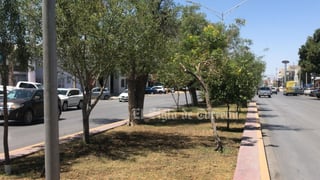 Evalúan árboles antes de ser retirados por obra del Sistema Vial Abastos Independencia Evalúan árboles antes de ser retirados por obra del Sistema Vial Abastos Independencia