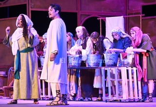 Es la mirada de María la que se muestra en la obra. Todo empieza en el Domingo de Ramos, el día en que Jesús entró triunfante a Jerusalén. Sobre el escenario del Teatro Isauro Martínez (TIM) se reproduce Tierra Santa. El público expectante, la fe como un telón. Cuando pasan de las 20:00 horas de este sábado, se escucha la tercera llamada para el musical El Diario de María.

El espectáculo contiene temas de Martín Valverde, un cantautor de origen costarricense y naturalizado mexicano, quien dedica su creación a la música católica contemporánea. En el libreto se ha escrito un mensaje de esperanza para los asistentes, que a su vez ayudará a comprender el dolor de María durante la pasión y muerte de Jesús, pero también su felicidad ante la resurrección de su hijo.