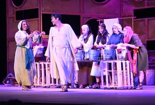 Es la mirada de María la que se muestra en la obra. Todo empieza en el Domingo de Ramos, el día en que Jesús entró triunfante a Jerusalén. Sobre el escenario del Teatro Isauro Martínez (TIM) se reproduce Tierra Santa. El público expectante, la fe como un telón. Cuando pasan de las 20:00 horas de este sábado, se escucha la tercera llamada para el musical El Diario de María.

El espectáculo contiene temas de Martín Valverde, un cantautor de origen costarricense y naturalizado mexicano, quien dedica su creación a la música católica contemporánea. En el libreto se ha escrito un mensaje de esperanza para los asistentes, que a su vez ayudará a comprender el dolor de María durante la pasión y muerte de Jesús, pero también su felicidad ante la resurrección de su hijo.