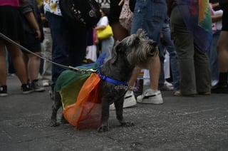 Cientos toman las calles para celebrar el Día del Orgullo LGBTI Cientos toman las calles para celebrar el Día del Orgullo LGBTI