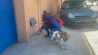 Manchas, el primer perrito detector de fugas de agua en México Manchas, el primer perrito detector de fugas de agua en México