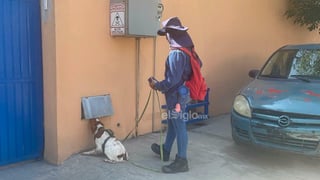 Definitivamente el trabajador más tierno de Aguas de Saltillo (AgSal) es Manchas, un cachorro de raza bretón español, el cual a diario detecta fugas de agua tanto en las calles como en los propios medidores de agua.