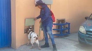 Definitivamente el trabajador más tierno de Aguas de Saltillo (AgSal) es Manchas, un cachorro de raza bretón español, el cual a diario detecta fugas de agua tanto en las calles como en los propios medidores de agua.