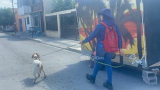 Manchas, el primer perrito detector de fugas de agua en México Manchas, el primer perrito detector de fugas de agua en México