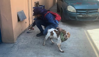 Manchas, el primer perrito detector de fugas de agua en México Manchas, el primer perrito detector de fugas de agua en México
