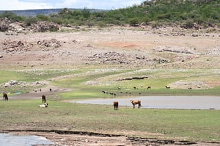 El Palmito tiene sed: la presa más grande de La Laguna enfrenta una nueva sequía