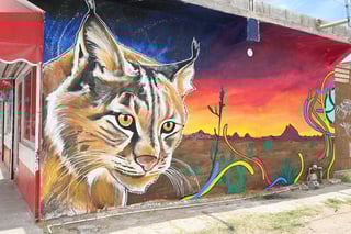 Artistas gomezpalatinos llenan de arte urbano al barrio de Santa Rosa