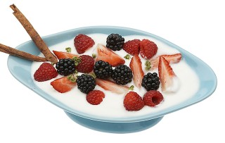 Los lactobacilos los podemos encontrar principalmente en el yogurt.