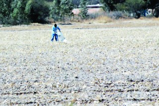 Se prevé una seria baja a la productividad agrícola  por el cambio climático que se registra en todo el mundo y que afectará a México y a Durango.