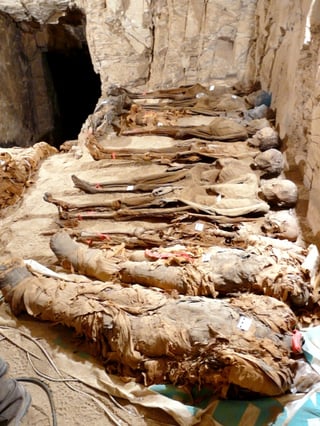 El Museo de Arqueología de Cataluña dió a conocer hoy los resultados inéditos del estudio antropológico y radiológico practicado en 18 momias de la antigua Tebas en Egipto, descubiertas en las últimas campañas realizadas por el equipo de la misión en el recinto funerario de Monthemhat, en Luxor. (EFE)