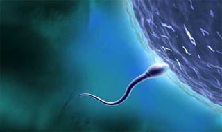 Luz sobre el esperma puede mejorar fecundación