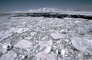 Un especialista de la Universidad de Colorado asegura que el fenómeno ha provocado el adelgazamiento del hielo en la Península Antártica y el glaciar Pine Island.